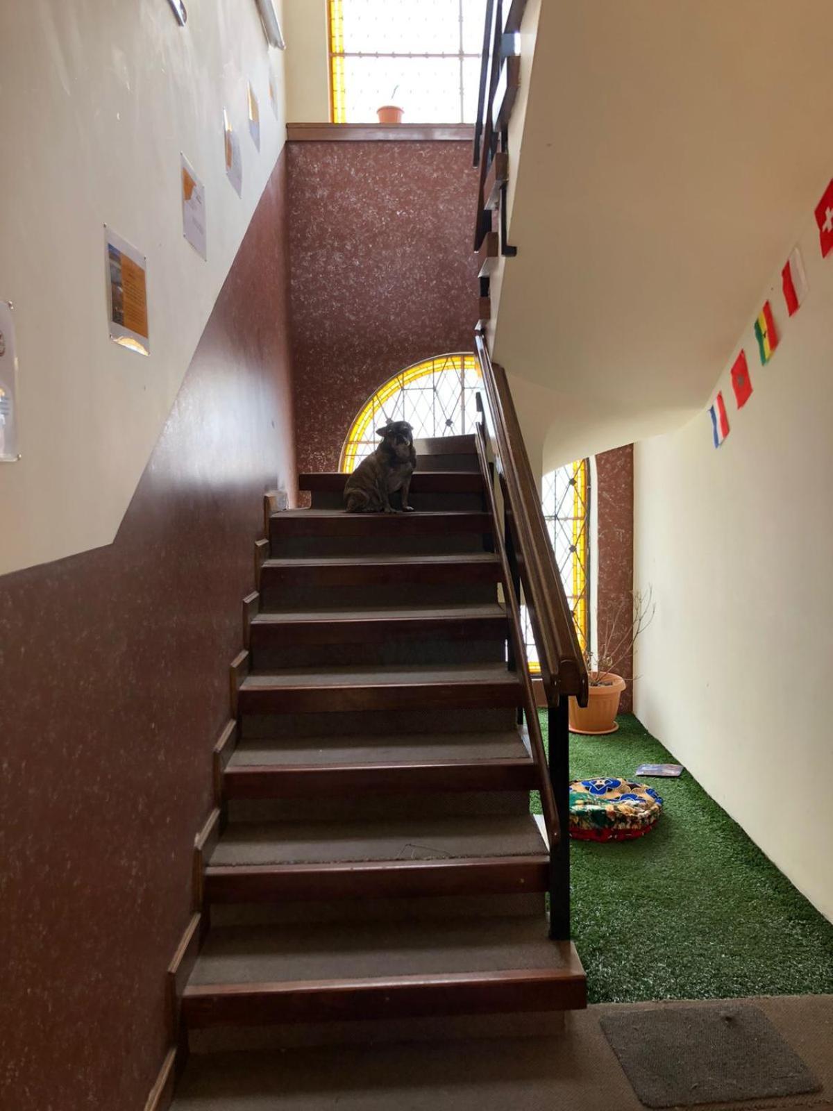 Home In Hostel 라파스 외부 사진