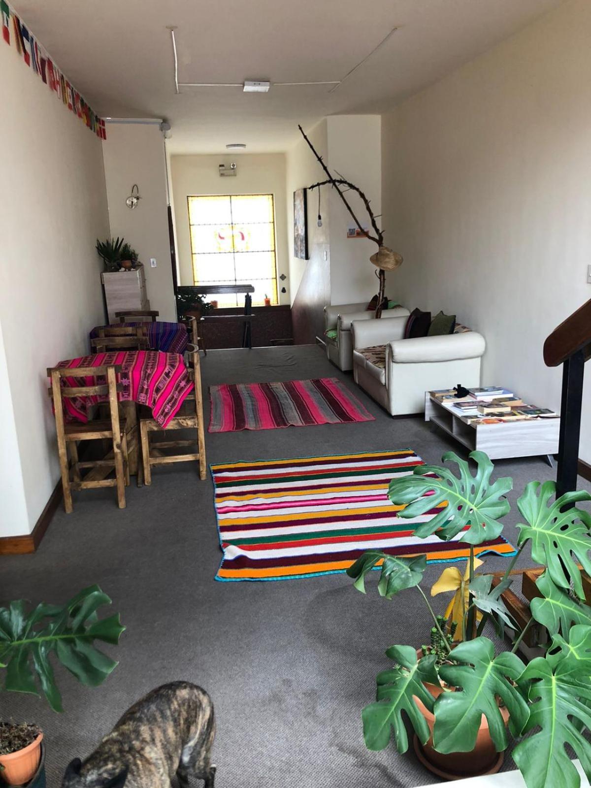 Home In Hostel 라파스 외부 사진